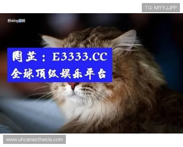 AG真人最新版网站提供最全面的游戏体验与最新优惠活动推荐，助你轻松畅玩真人娱乐游戏