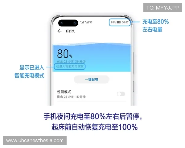 轻松掌握速盈手机版会员登录技巧，助你快速入门